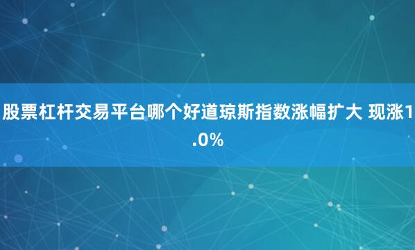 股票杠杆交易平台哪个好道琼斯指数涨幅扩大 现涨1.0%