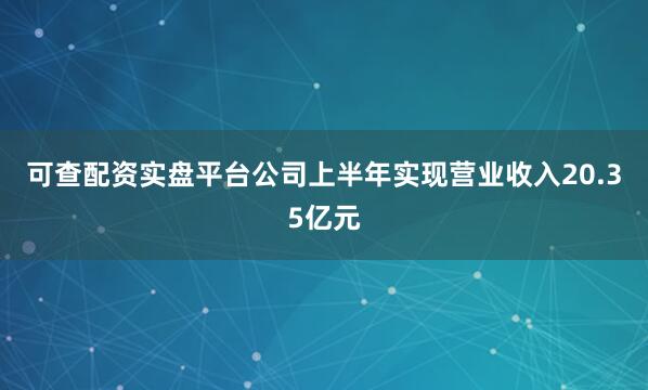 可查配资实盘平台公司上半年实现营业收入20.35亿元