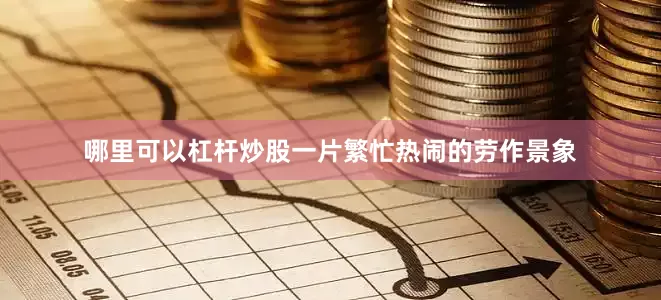 哪里可以杠杆炒股一片繁忙热闹的劳作景象